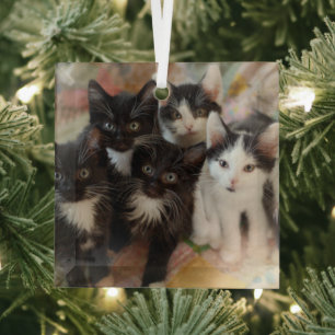 Cutest Baby Animals Black & White Kittens Glass Tree Decoration