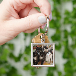 Cutest Baby Animals Black & White Kittens Key Ring