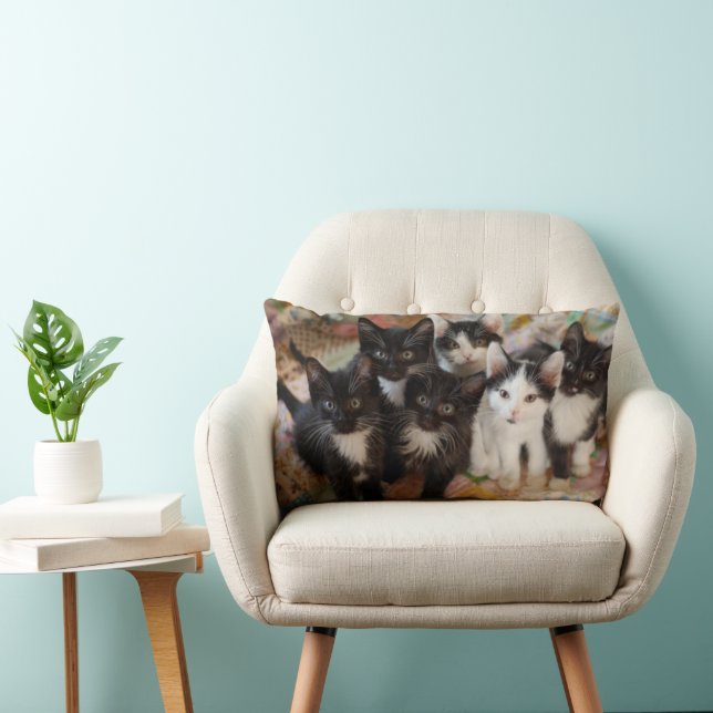 Cutest Baby Animals | Black & White Kittens Lumbar Cushion (Chair)