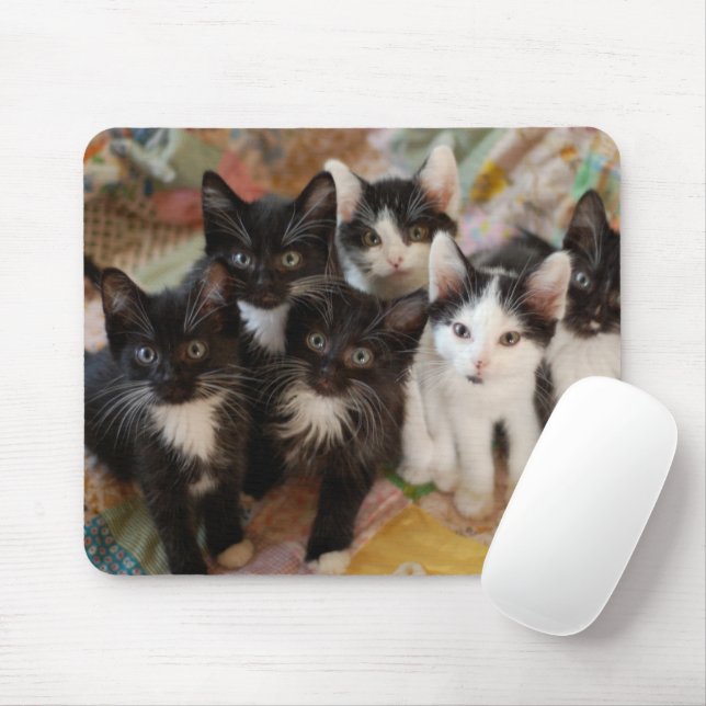 Cutest Baby Animals | Black & White Kittens Mouse Mat (With Mouse)