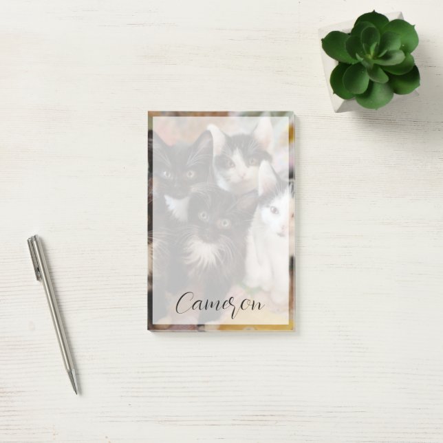 Cutest Baby Animals | Black & White Kittens Post-it Notes (Office)