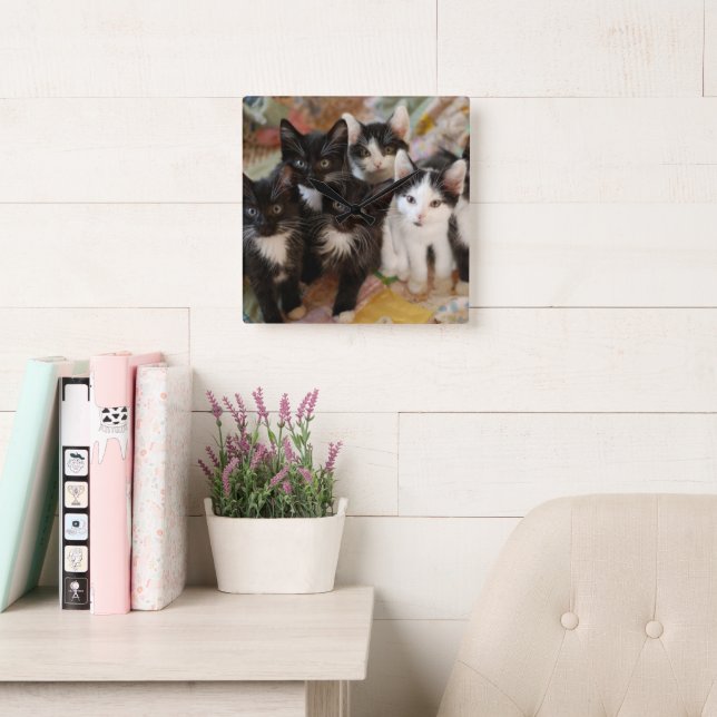 Cutest Baby Animals | Black & White Kittens Square Wall Clock (Reading Room)