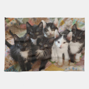 Cutest Baby Animals   Black & White Kittens Tea Towel