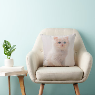 Cutest Baby Animals   Blue Eye Kitten Cushion