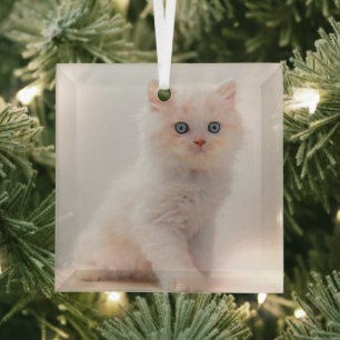Cutest Baby Animals Blue Eye Kitten Glass Tree Decoration