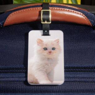 Cutest Baby Animals Blue Eye Kitten Luggage Tag