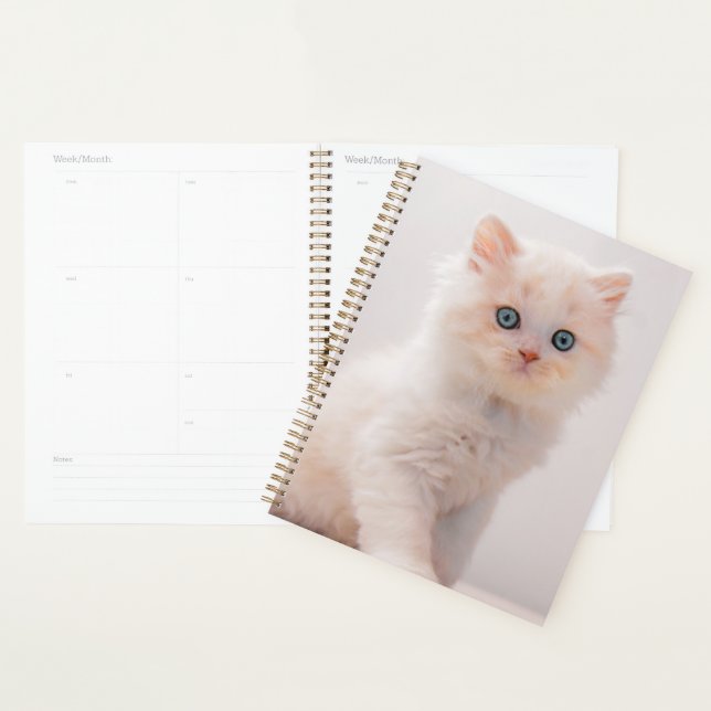 Cutest Baby Animals | Blue Eye Kitten Planner (Display)