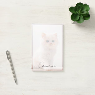 Cutest Baby Animals   Blue Eye Kitten Post-it Notes
