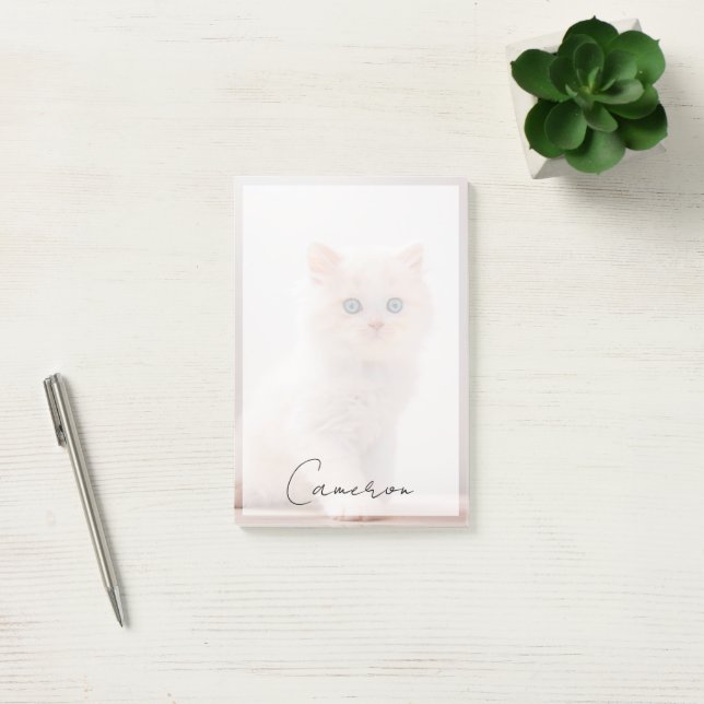 Cutest Baby Animals | Blue Eye Kitten Post-it Notes (Office)