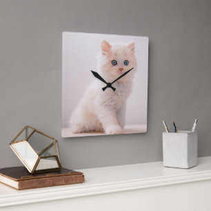 Cutest Baby Animals   Blue Eye Kitten Square Wall Clock