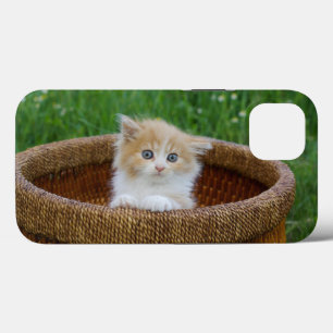Cutest Baby Animals   Blue Eyed Kitten iPhone 13 Case