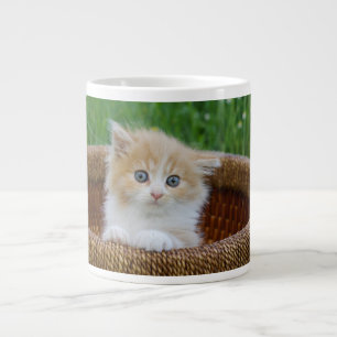 Cutest Baby Animals   Blue Eyed Kitten Large Coffee Mug