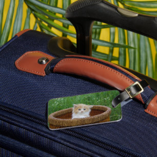 Cutest Baby Animals Blue Eyed Kitten Luggage Tag
