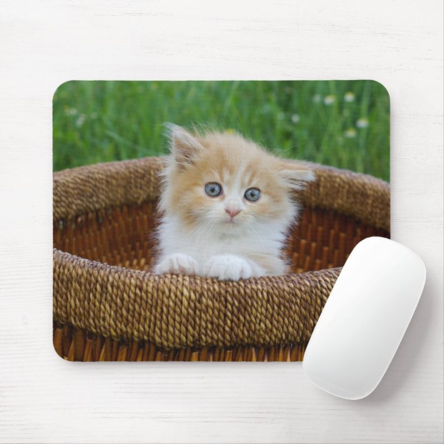Cutest Baby Animals | Blue Eyed Kitten Mouse Mat (With Mouse)