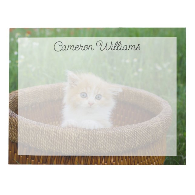 Cutest Baby Animals | Blue Eyed Kitten Notepad (Front)