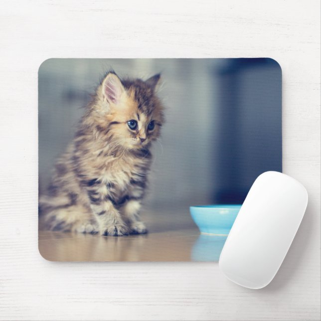Cutest Baby Animals | Blue-eyed Persian Kitten Mouse Mat (With Mouse)