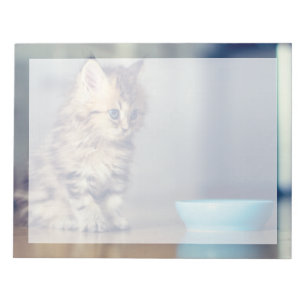 Cutest Baby Animals Blue-eyed Persian Kitten Notepad