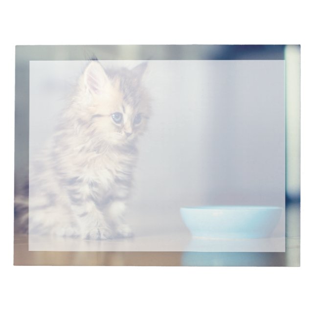Cutest Baby Animals | Blue-eyed Persian Kitten Notepad (Front)