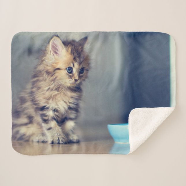 Cutest Baby Animals | Blue-eyed Persian Kitten Sherpa Blanket (Front (Horizontal))