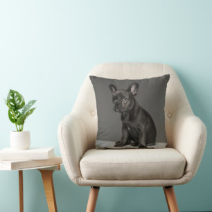 Cutest Baby Animals   Blue French Bulldog Puppy Cushion