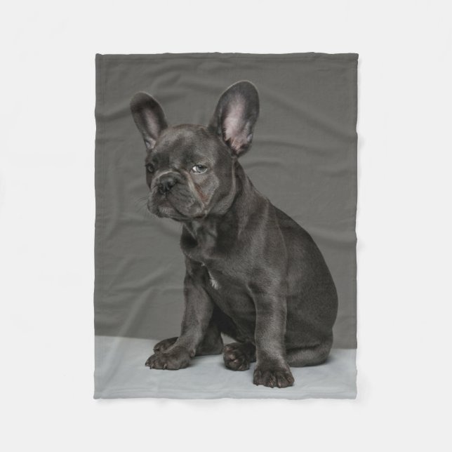Cutest Baby Animals | Blue French Bulldog Puppy Fleece Blanket (Front)