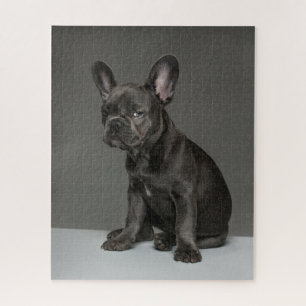 Cutest Baby Animals   Blue French Bulldog Puppy Jigsaw Puzzle
