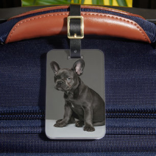 Cutest Baby Animals   Blue French Bulldog Puppy Luggage Tag