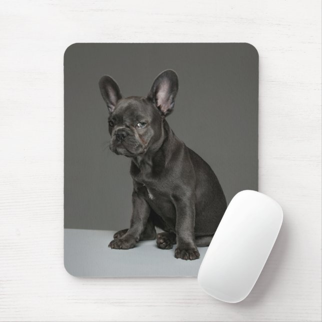 Cutest Baby Animals | Blue French Bulldog Puppy Mouse Mat (With Mouse)