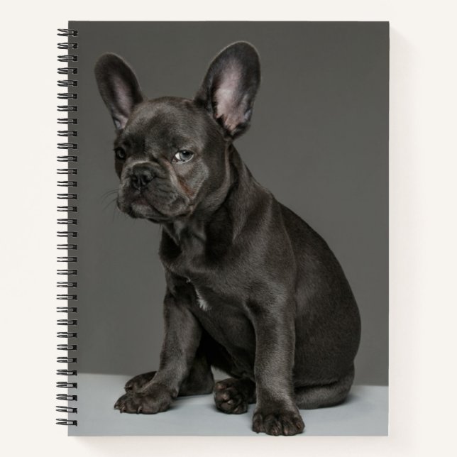 Cutest Baby Animals | Blue French Bulldog Puppy Notebook (Front)