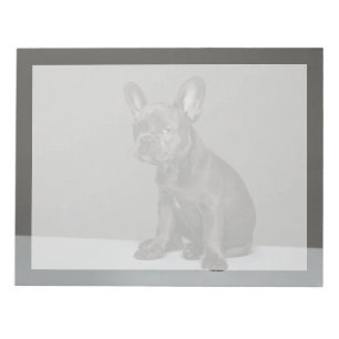 Cutest Baby Animals Blue French Bulldog Puppy Notepad