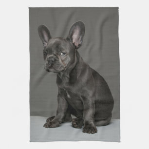 Cutest Baby Animals   Blue French Bulldog Puppy Tea Towel