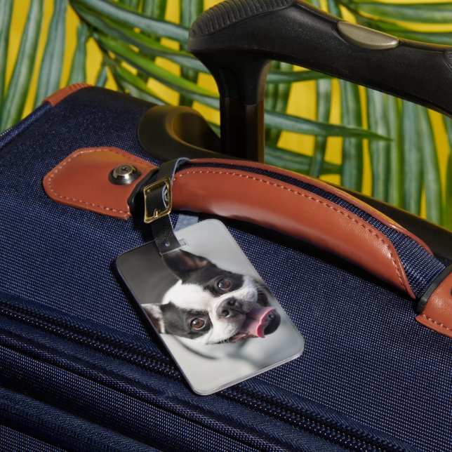 Cutest Baby Animals | Boston Bulldog Smile Luggage Tag (Front Insitu 1)