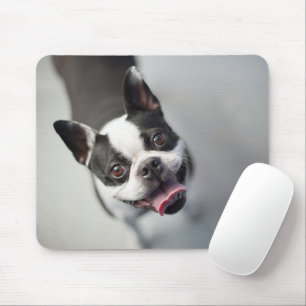 Cutest Baby Animals   Boston Bulldog Smile Mouse Mat