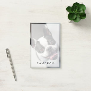 Cutest Baby Animals   Boston Bulldog Smile Post-it Notes