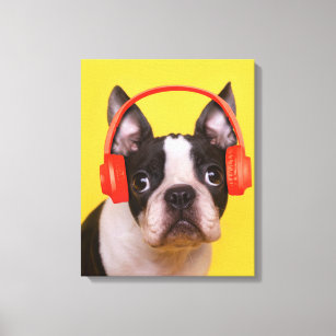 Cutest Baby Animals   Boston Terrier Headphones Canvas Print