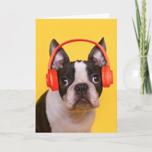 Cutest Baby Animals | Boston Terrier Headphones Card (Front)