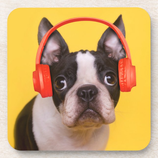 Cutest Baby Animals | Boston Terrier Headphones Coaster (Front)