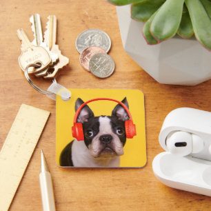 Cutest Baby Animals   Boston Terrier Headphones Key Ring