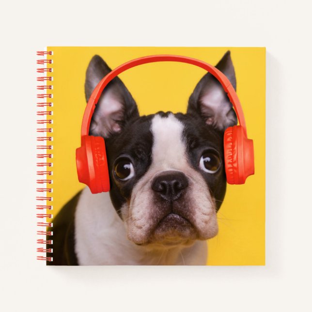 Cutest Baby Animals | Boston Terrier Headphones Notebook (Front)