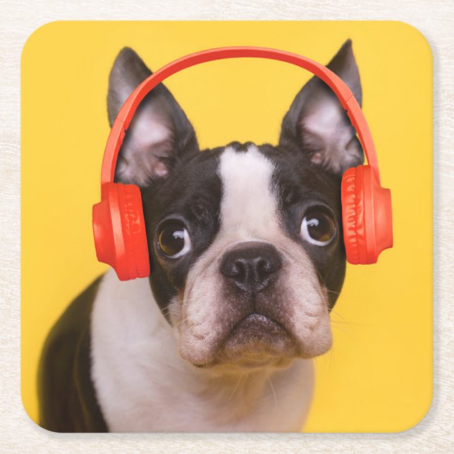 Cutest Baby Animals | Boston Terrier Headphones Square Paper Coaster (Front)