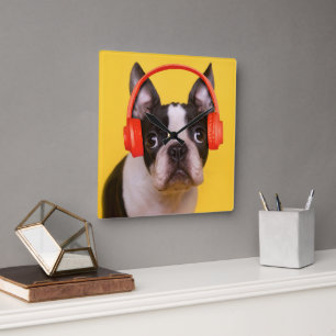 Cutest Baby Animals   Boston Terrier Headphones Square Wall Clock