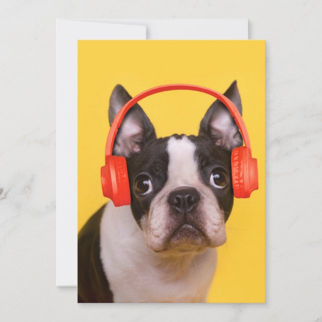 Cutest Baby Animals | Boston Terrier Headphones Thank You Card (Front)
