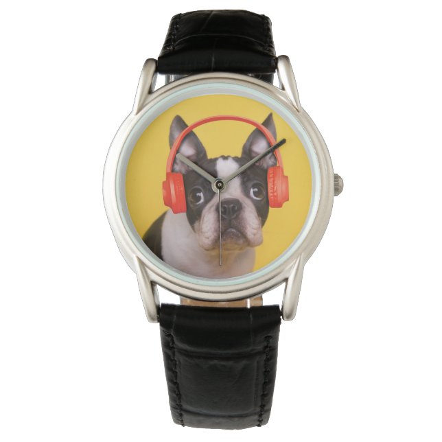Cutest Baby Animals | Boston Terrier Headphones Watch (Front)