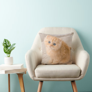 Cutest Baby Animals British Longhair Kitten Cushion
