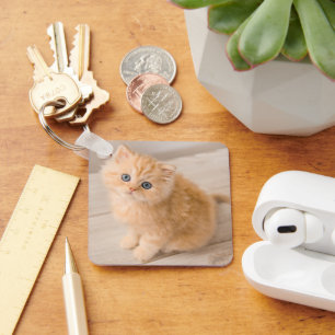 Cutest Baby Animals British Longhair Kitten Key Ring