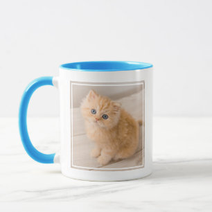 Cutest Baby Animals   British Longhair Kitten Mug