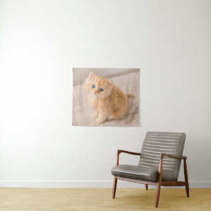 Cutest Baby Animals   British Longhair Kitten Tapestry