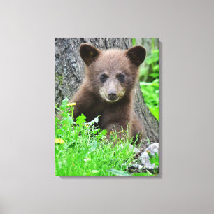 Cutest Baby Animals Brown Bear Cub Canvas Print