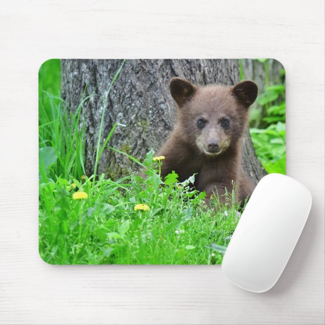 Cutest Baby Animals | Brown Bear Cub Mouse Mat (With Mouse)