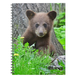 Cutest Baby Animals   Brown Bear Cub Notebook